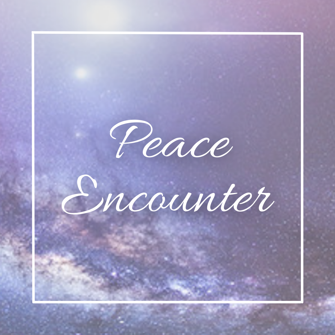 Picture
Peace Encounter 